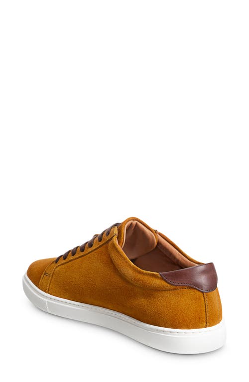Allen Edmonds Courtside Sneaker In Turmeric