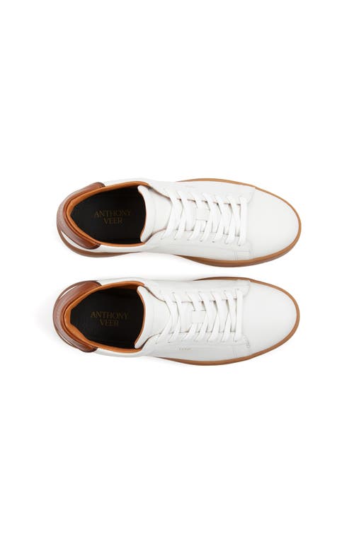 Anthony Veer Men's Paul Sneaker In White