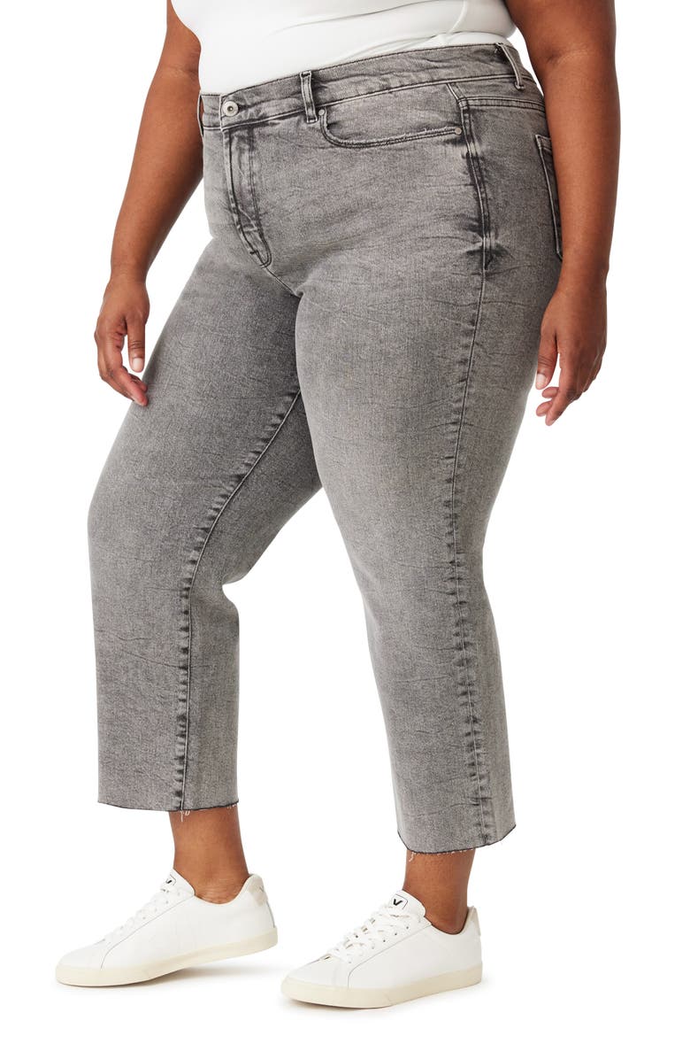 Kensie Allie Raw Hem Crop Slim Jeans, Alternate, color, Canberra