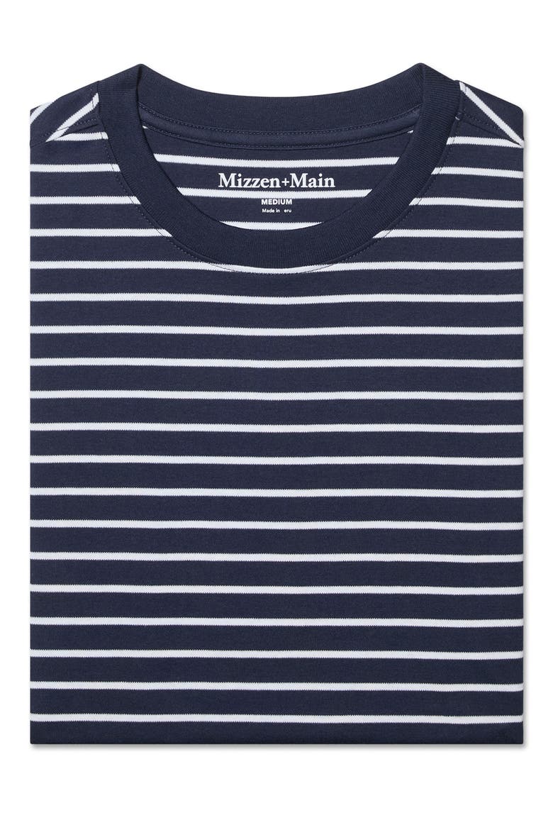 Palmer Stripe Pima Cotton T-Shirt, Alternate, color, NAVY WHITE STRIPE