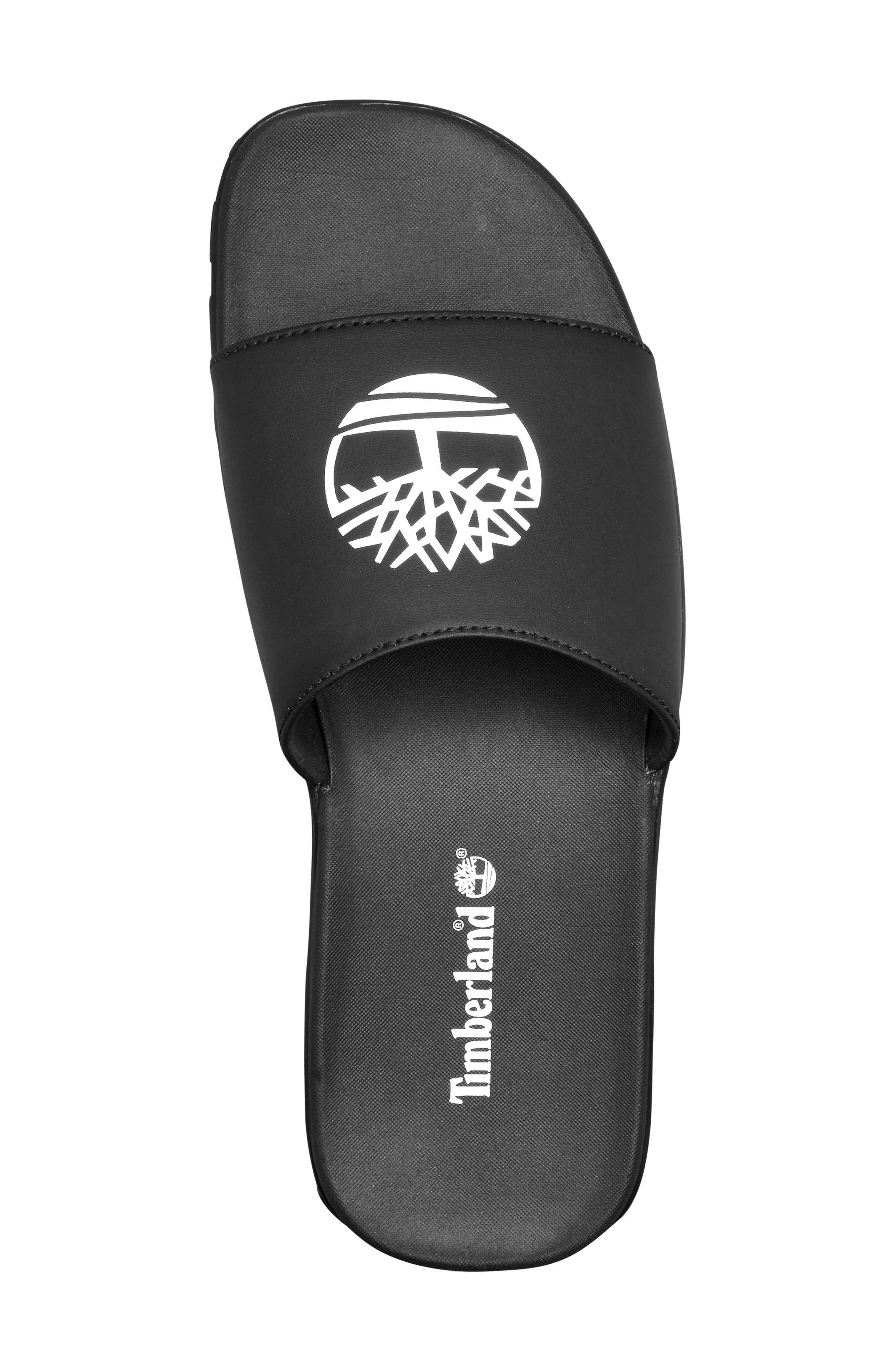 Timberland Fells Slide Sandal, Alternate, color, 