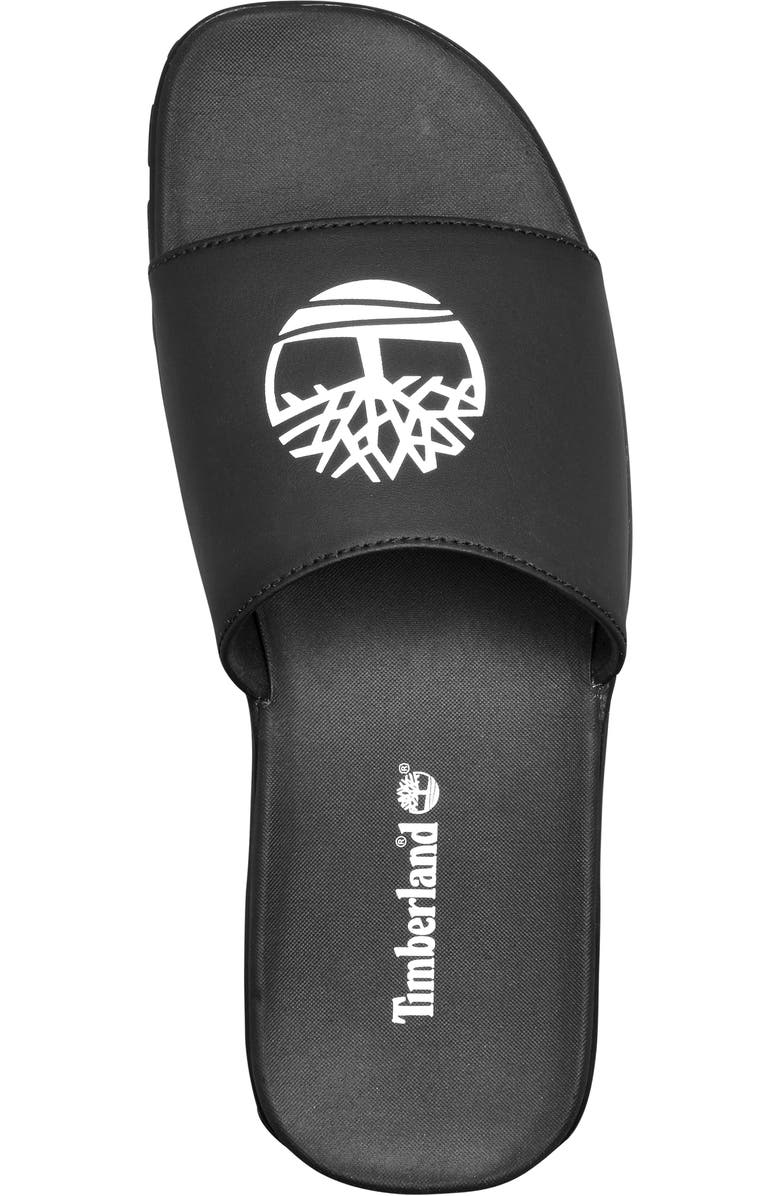 Timberland Fells Slide Sandal, Alternate, color,