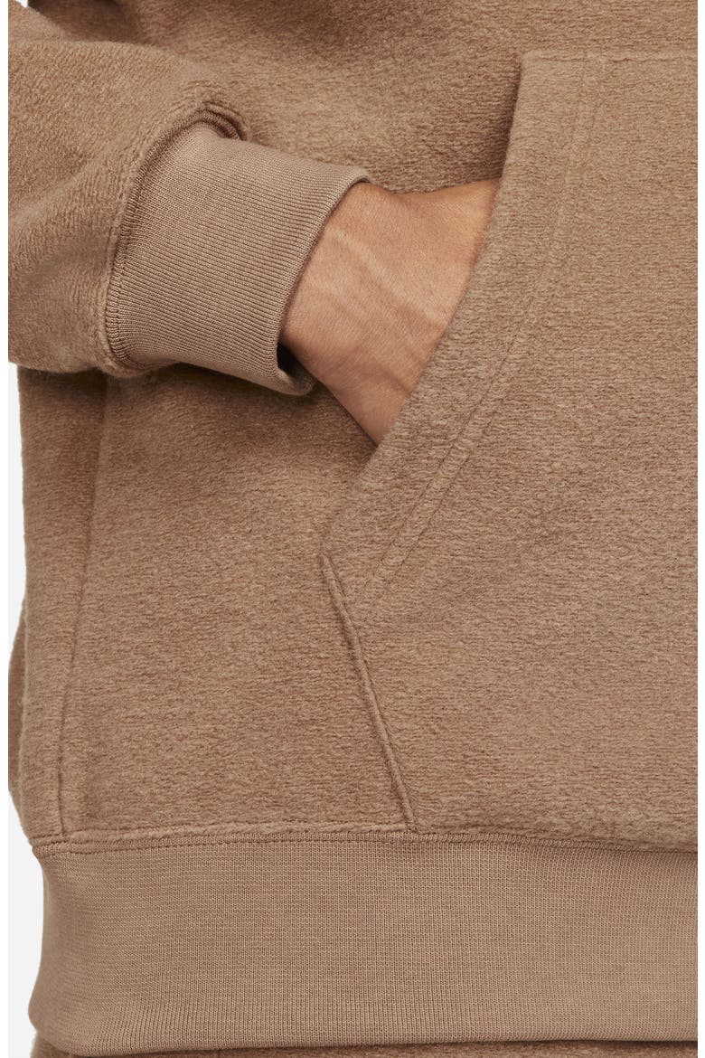 Flight Heritage Graphic Hoodie, Alternate, color, ARCHAEO BROWN