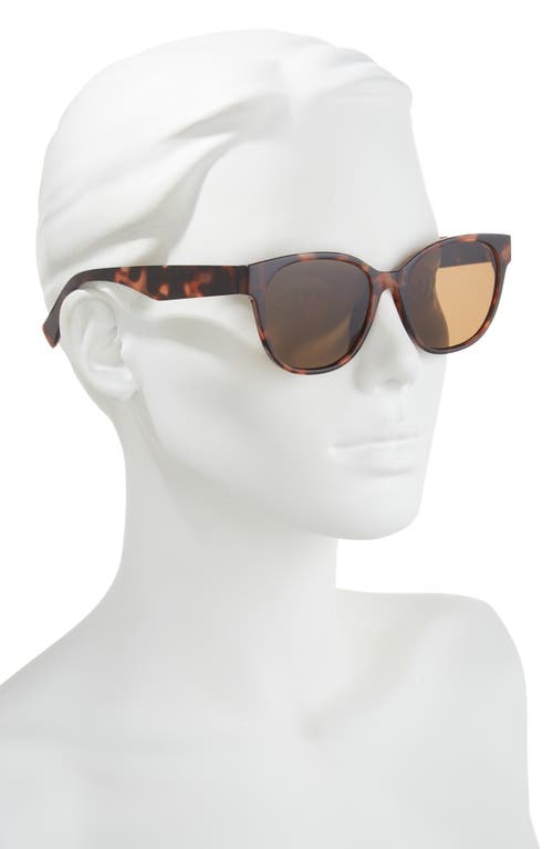 Bp. Square Sunglasses In Tortoise