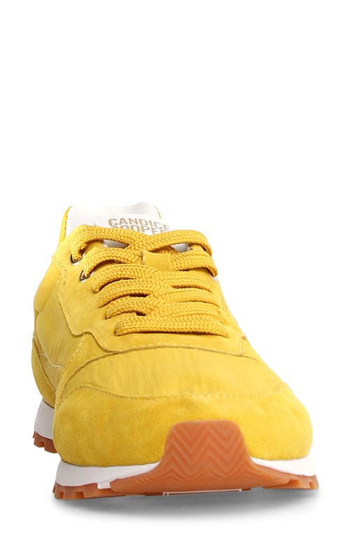 Candice Cooper Plume 3 Sneaker In Yellow