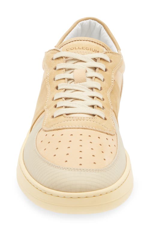 Collegium Pillar Destroyer Low Top Sneaker In Brown