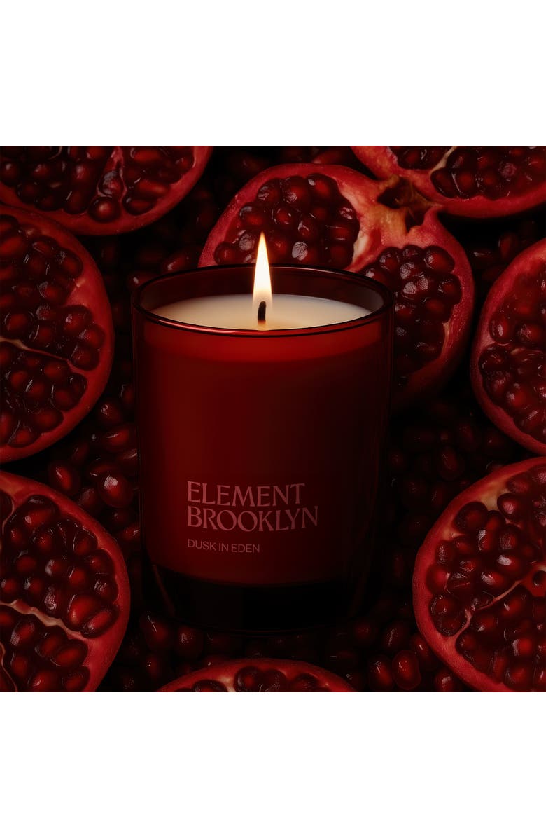 Element Brooklyn Twilight Garden 4-Pack Candles, Alternate, color, Twilight Garden