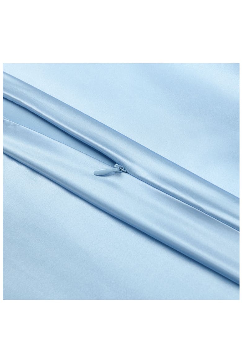 100% Pure Mulberry Silk Pillow Case, Alternate, color, BLUE
