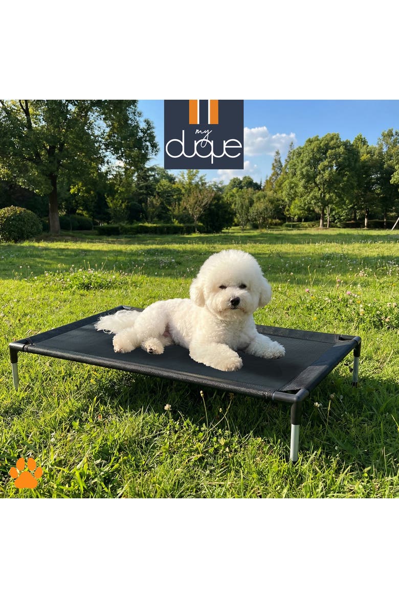 Pet Bed, 23.5 Inches x 18 Inches, Alternate, color, Black