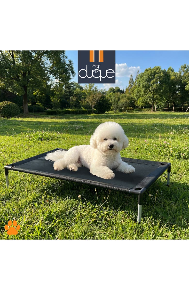 My Duque Pet Bed, 23.5 Inches x 18 Inches, Alternate, color, Black