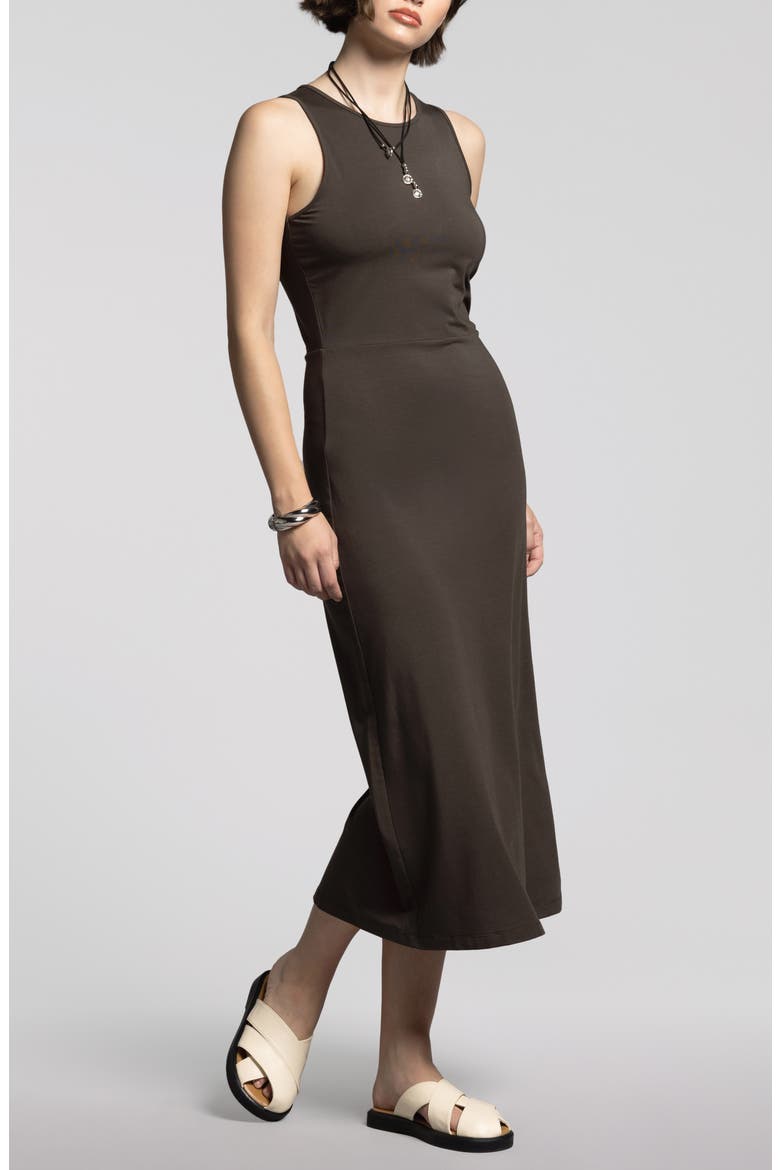 Lili Sleeveless Dress, Alternate, color, BLACK BROWN