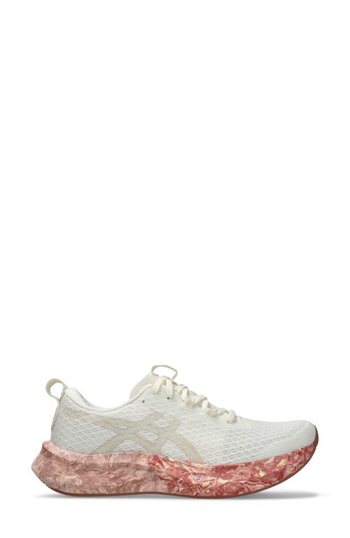 Asics ® Noosa Tri 16 Running Shoe In Cream/breeze