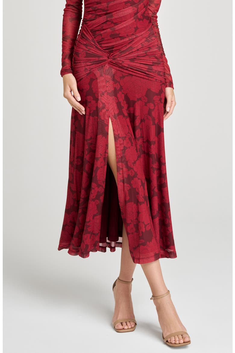 Selene Floral Ruched Long Sleeve Mesh Dress, Alternate, color, SCARLET ROSES
