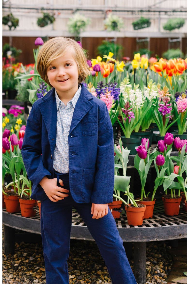 Boys' Organic Seersucker Suit Jacket, Toddler, Alternate, color, Navy Seersucker