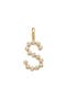  Gold Vermeil Initial S
