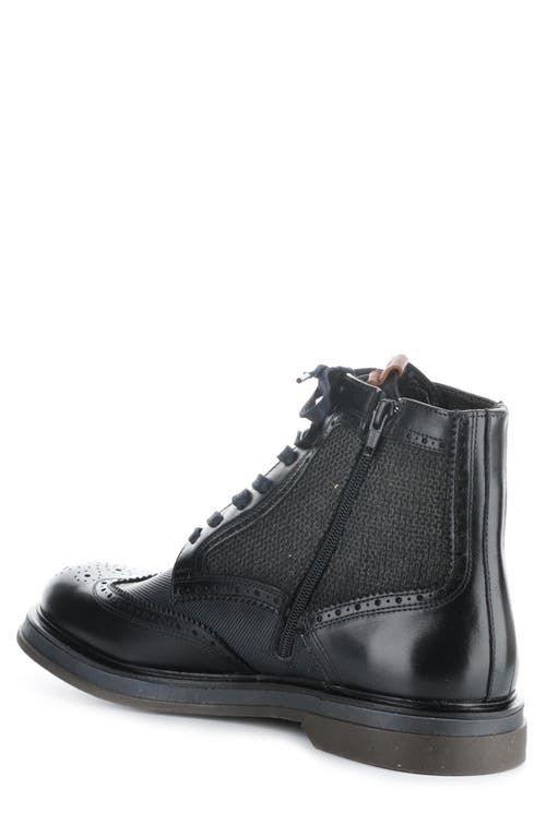 AMBITIOUS AMBITIOUS 12432 WINGTIP BOOT 