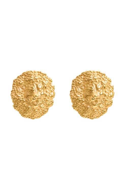 Lion Studs