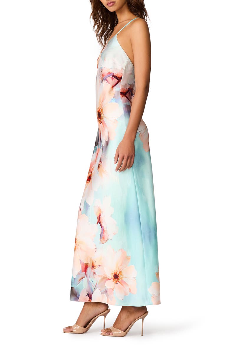 Gilette Floral Column Maxi Dress, Alternate, color, PETAL