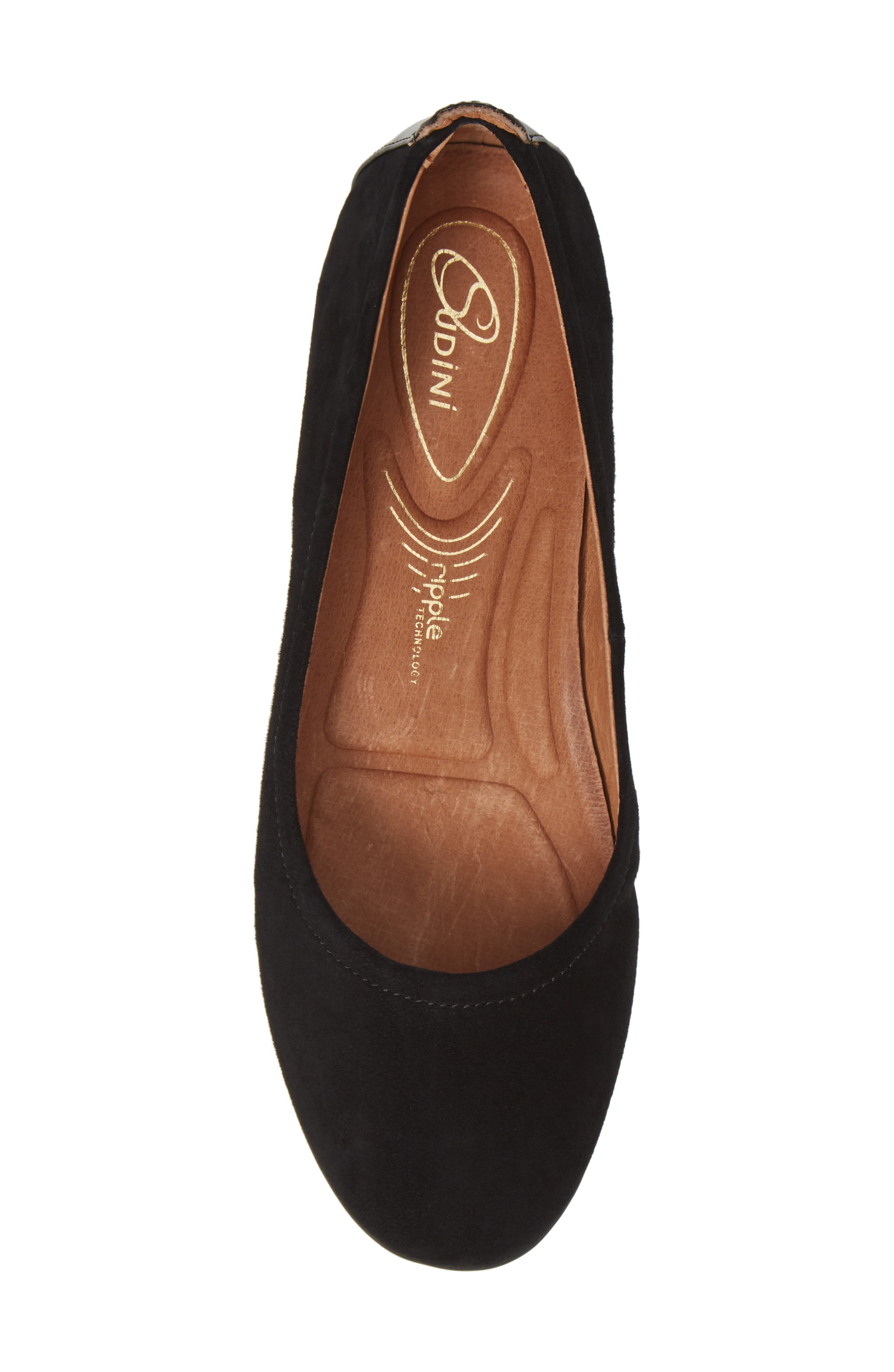 Sudini Lily Flat, Alternate, color, 