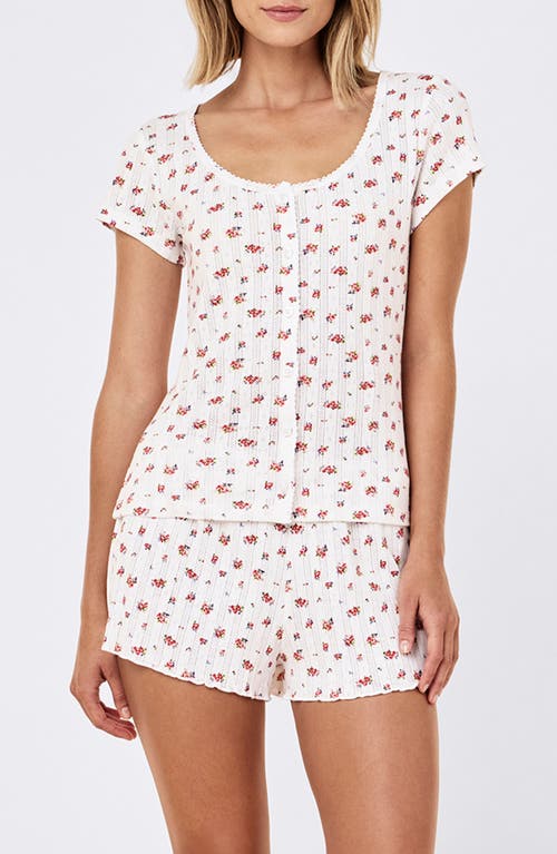 Papinelle Imogen Pointelle T-Shirt in Posy Floral at Nordstrom, Size Large