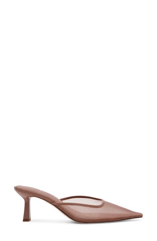 Steve Madden Lisbeth Pointed Toe Mule