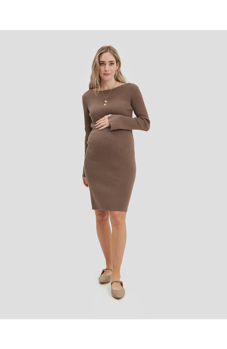 Nom Maternity Hudson Maternity & Nursing Long Sleeve Dress, Main, color, Taupe