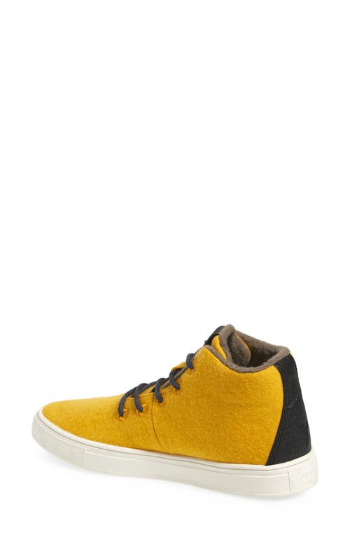 Yy Nation Alto Water Resistant Wool Blend High Top Sneaker In Spectra Yellow/white