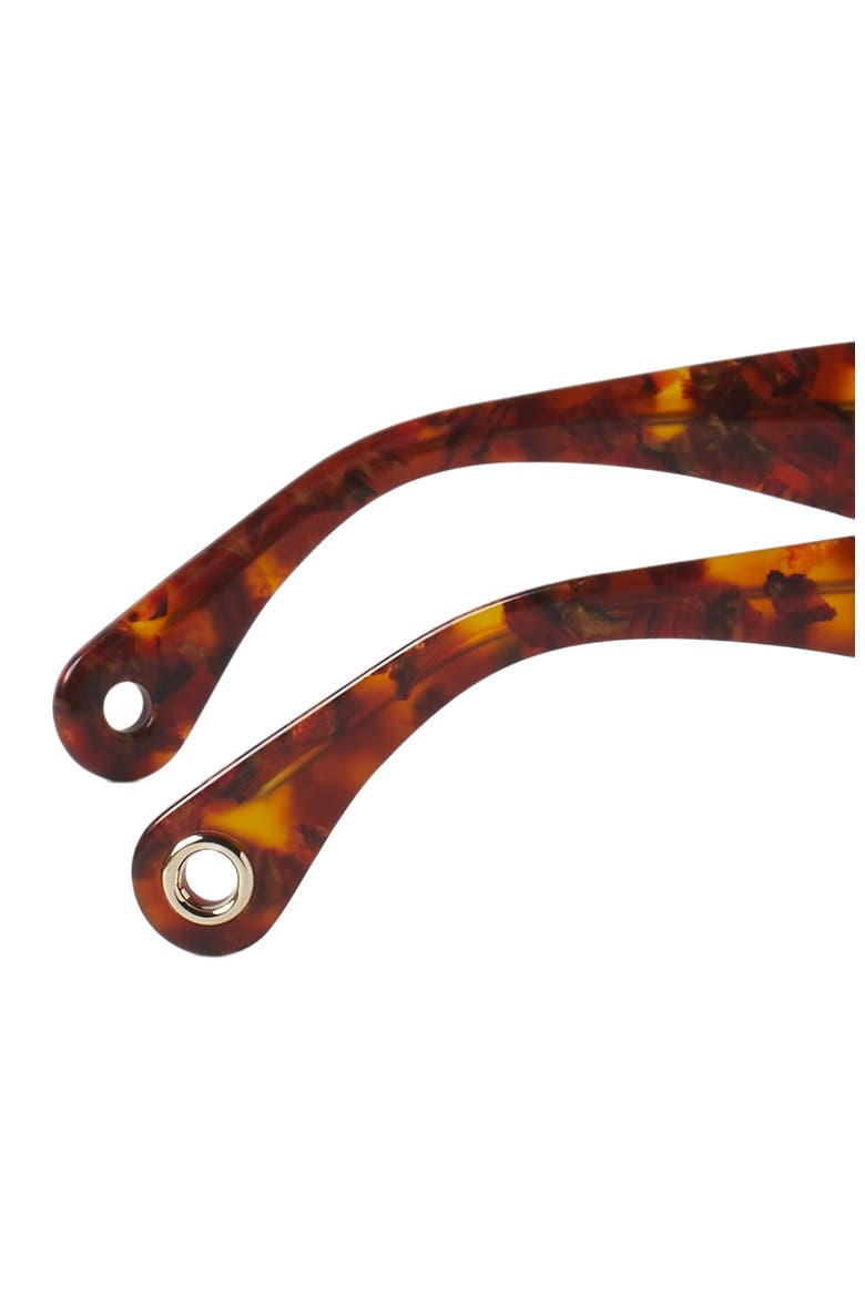 Signature Sunglasses, Alternate, color, Amber-Turtoise