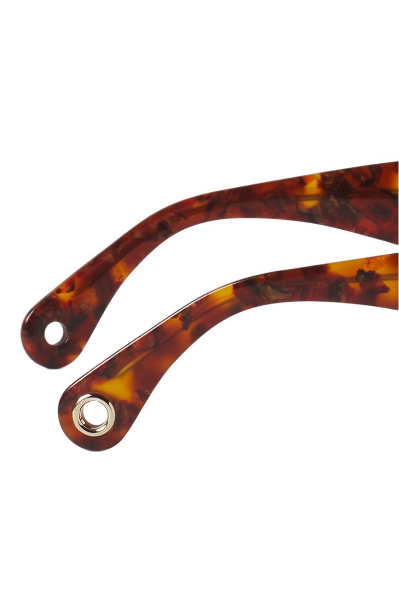 Lanvin Signature Sunglasses, Alternate, color, Amber-Turtoise