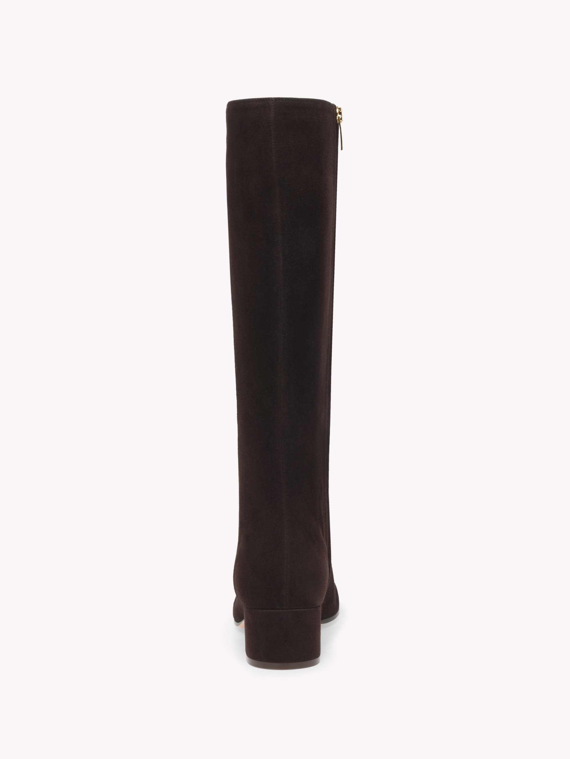 Gianvito Rossi Joelle Boot 45 Boot, Alternate, color, Brown Suede