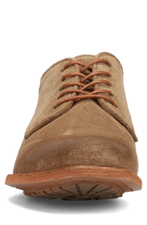Frye Tyler Flex Derby In Mushroom