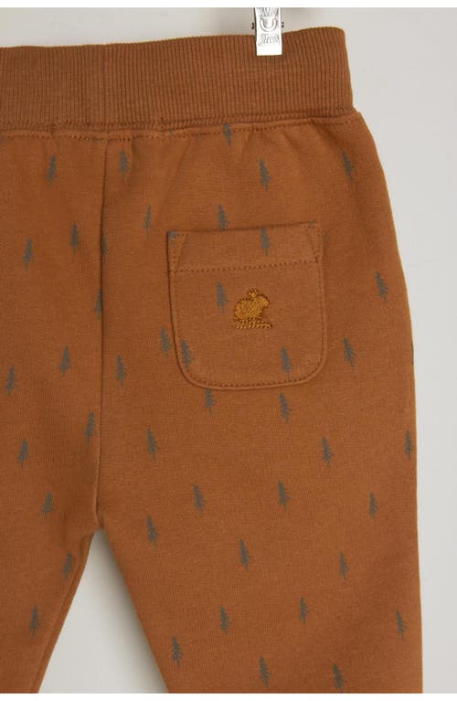Babycottons Jogger Explorer Bb For Infant In Brown