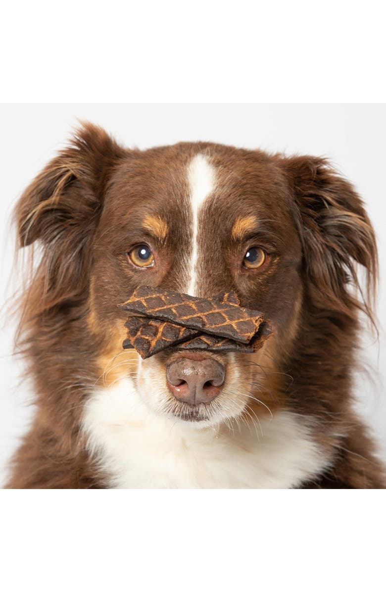 Scout & Zoe's Carp Fish Spears, 4oz Dog Jerky Treats, Smoked Pet Chews, Protein, Alternate, color, Multicolored