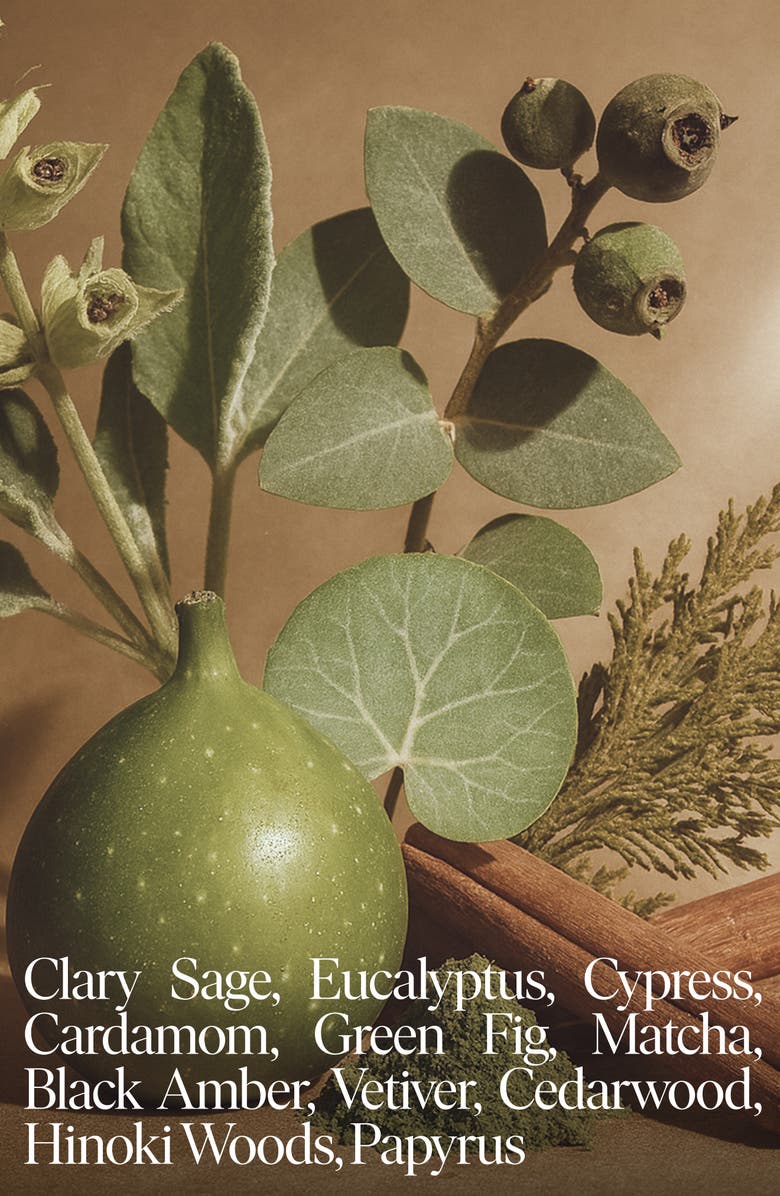 SIBLINGS Hinoki Bastu Candle Refill, Alternate, color, White