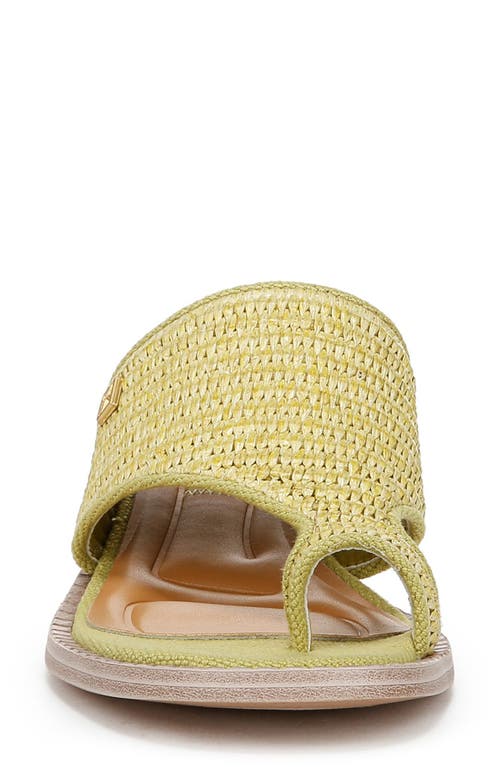 Shop Franco Sarto Sia Slide Sandal In Green