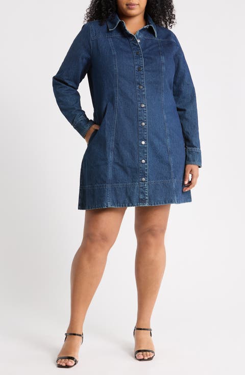 Fit and Flare Denim Minidress