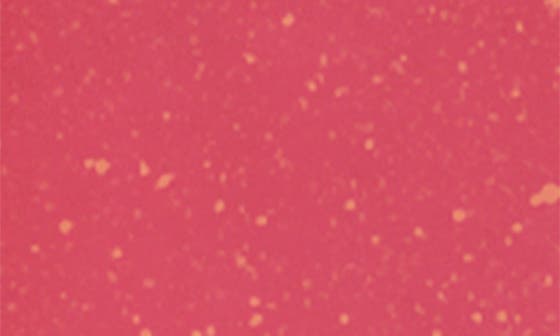 209 PINK TRIP