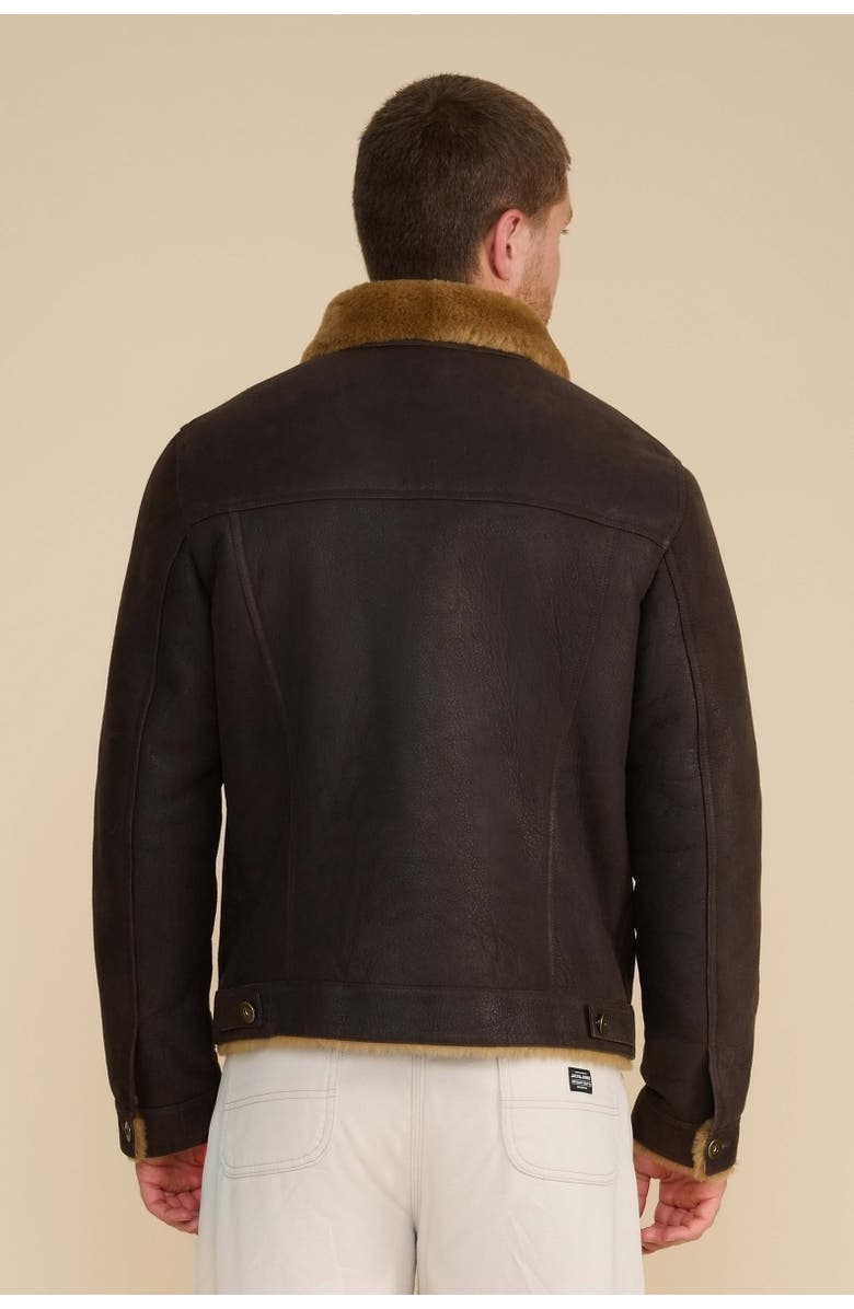 Furniq UK Alfie Suede Jacket, Alternate, color, Brown