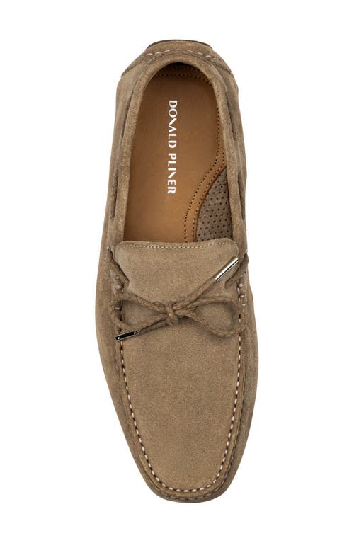 Donald Pliner Dutton Driving Loafer In Brown