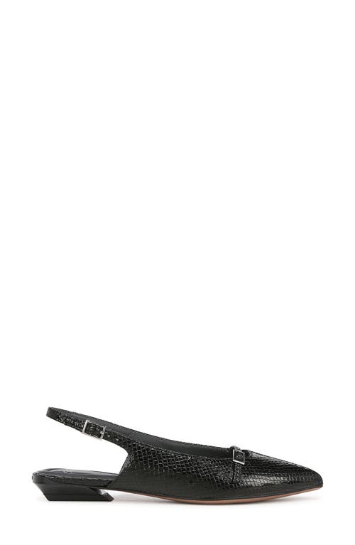 SARTO BY FRANCO SARTO SARTO BY FRANCO SARTO EMMA POINTED TOE SLINGBACK FLAT 