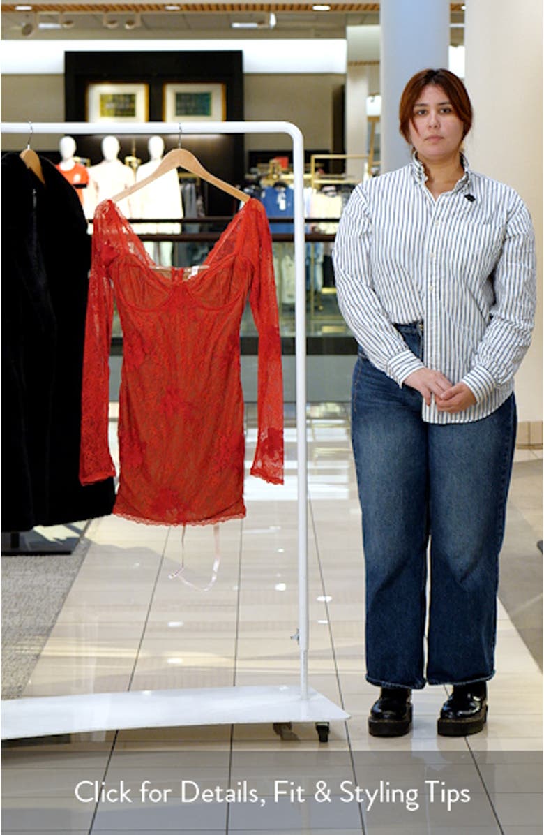 Lucienne Embroidered Long Sleeve Lace Minidress, sales video thumbnail