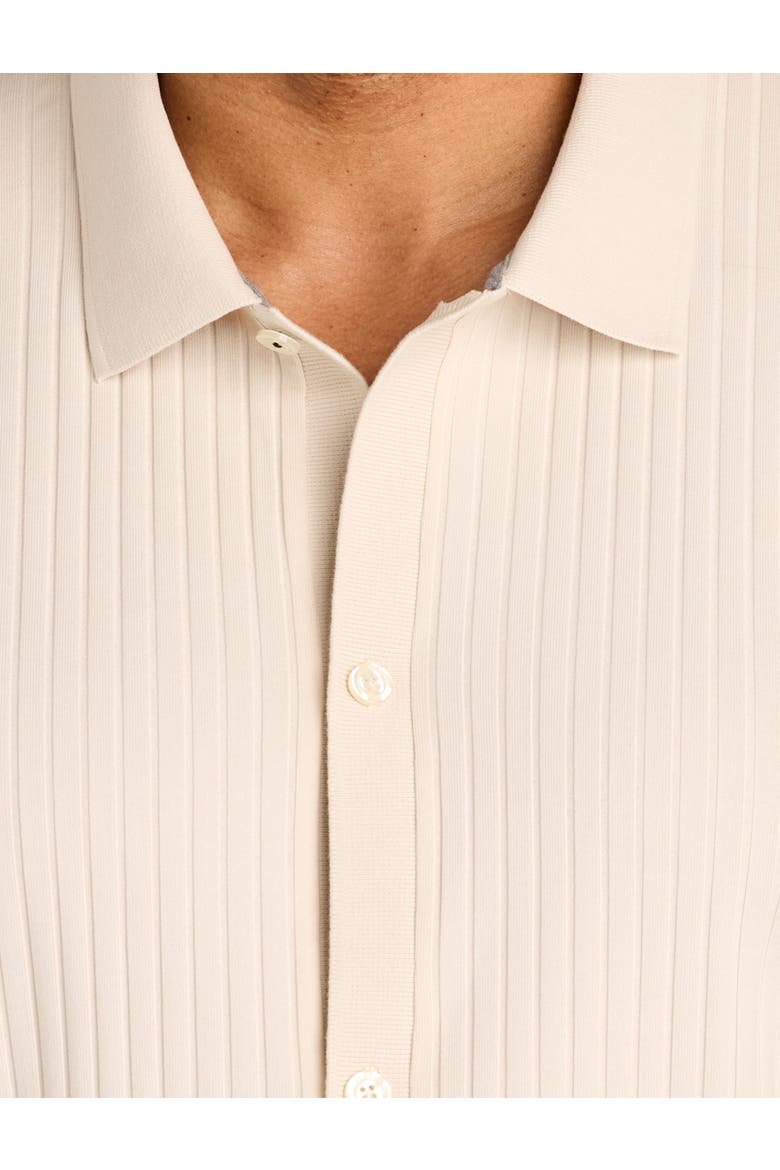 Big & Tall Ribbed Jacquard Button-Front Polo Shirt, Alternate, color, BIRCH