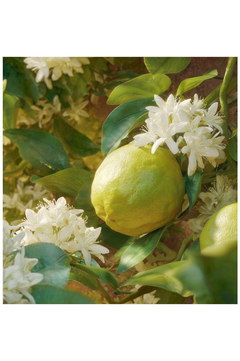 Blush Mirage Parfum, Alternate, color, NO COLOR