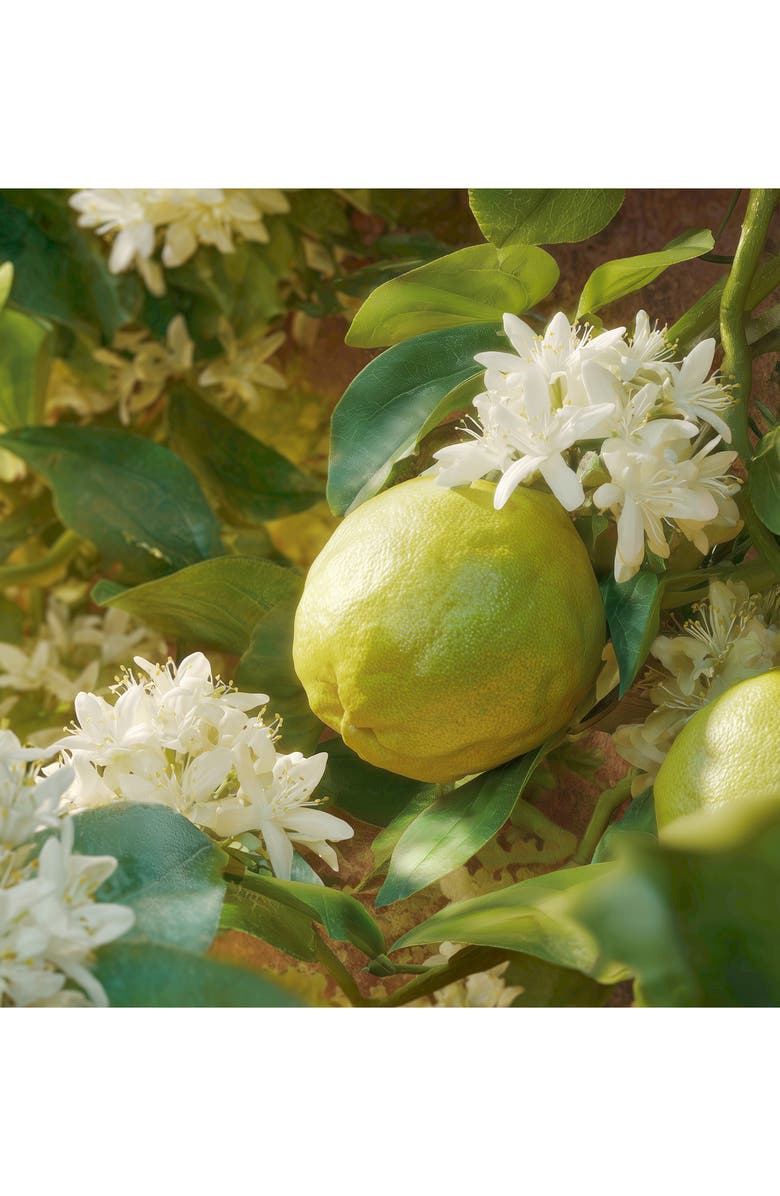 House of Sillage Blush Mirage Parfum, Alternate, color, 