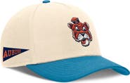 Nike Men's Nike Natural/Light Blue Auburn Tigers Academic Rise Dri-FIT Adjustable Hat