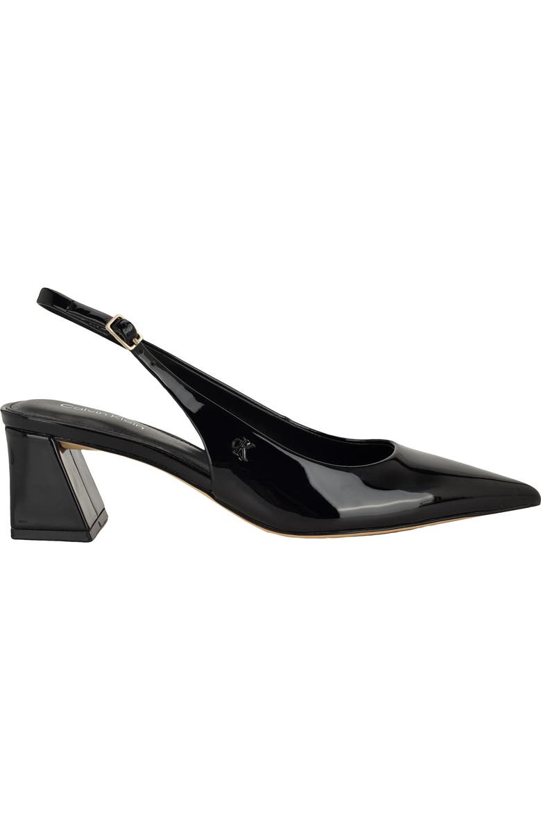 Calvin Klein Sarra Slingback Pointed Toe Pump, Alternate, color,