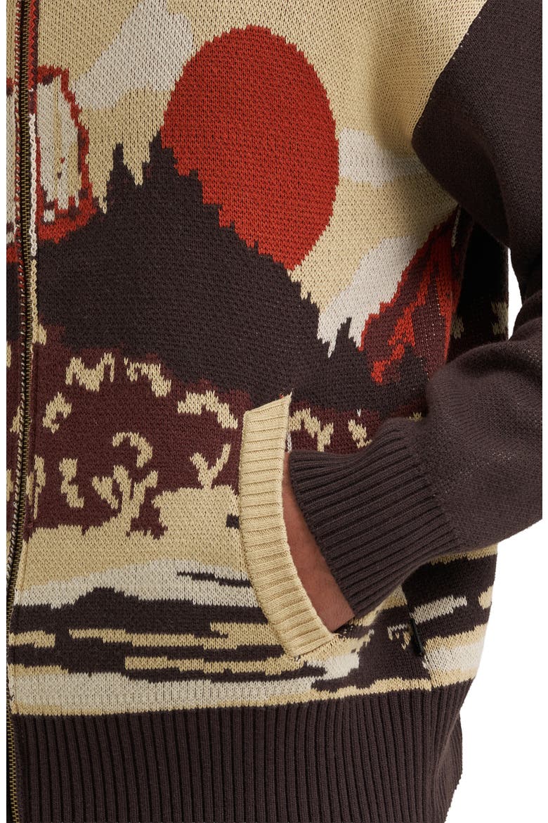 Desert Graphic Zip Cardigan, Alternate, color, AZTEC CHOCOLATE TORTE
