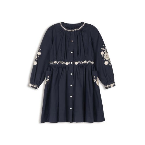 Looms Knits Looms Floral Embroidered Waisted Cotton Dress In Blue
