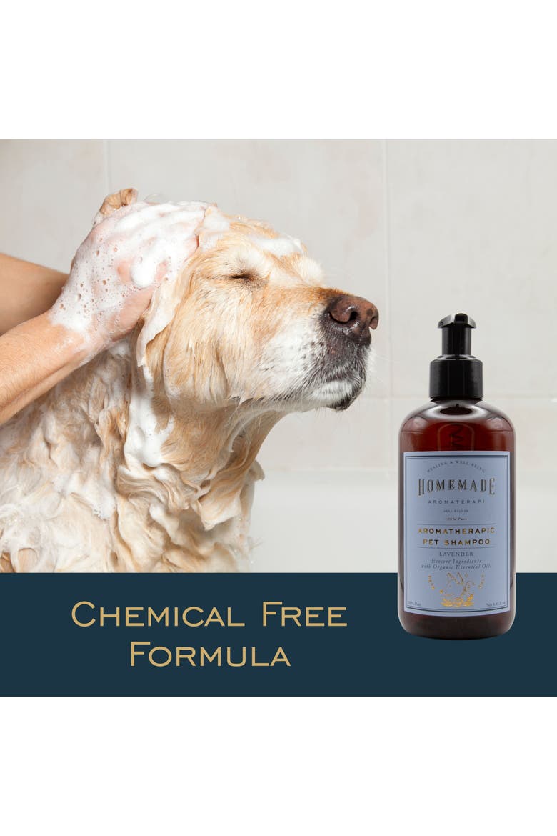 Calming Gentle Lavender Pet Shampoo, Alternate, color, Cream