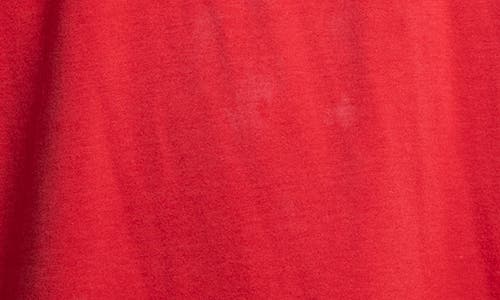 Elwood Vintage Big Walnut Schools Tee In Red